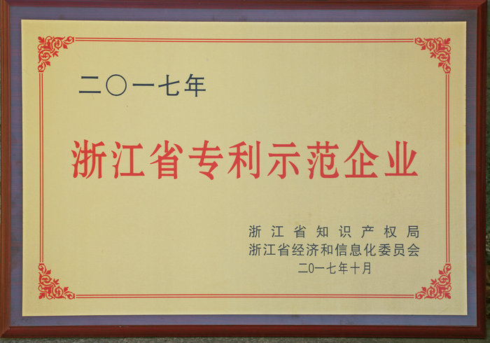 浙江專(zhuān)利示范企業(yè)